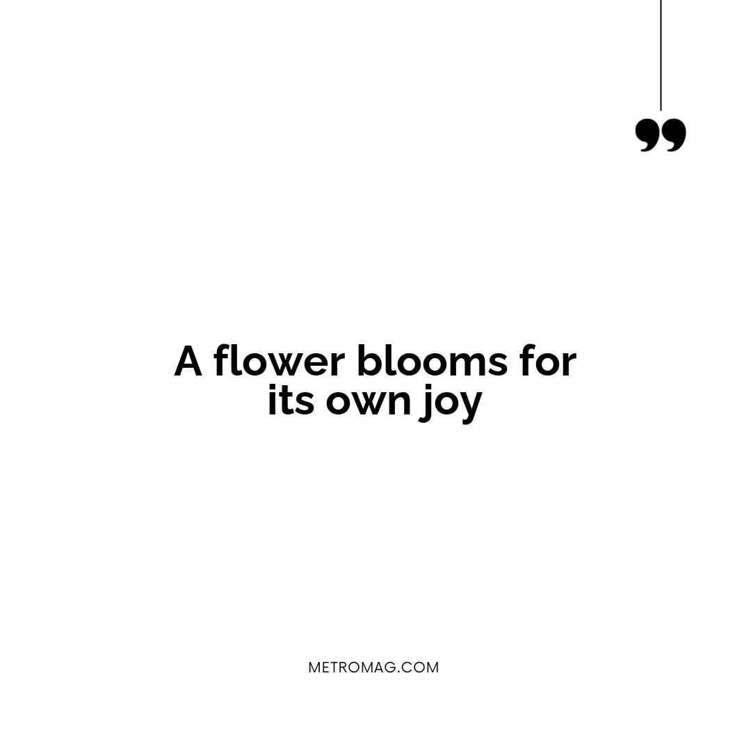 A flower blooms for its own joy