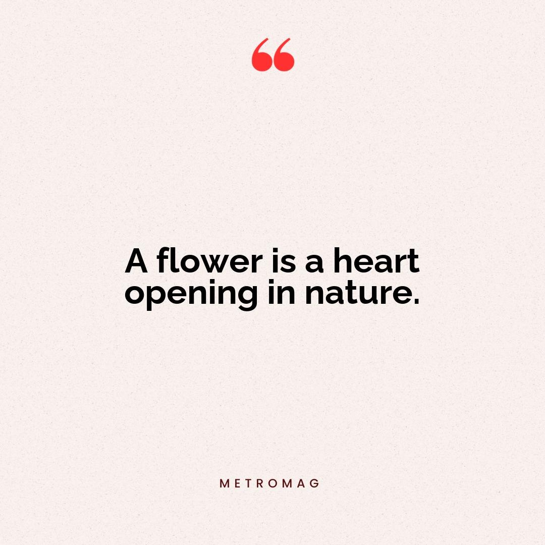 A flower is a heart opening in nature.