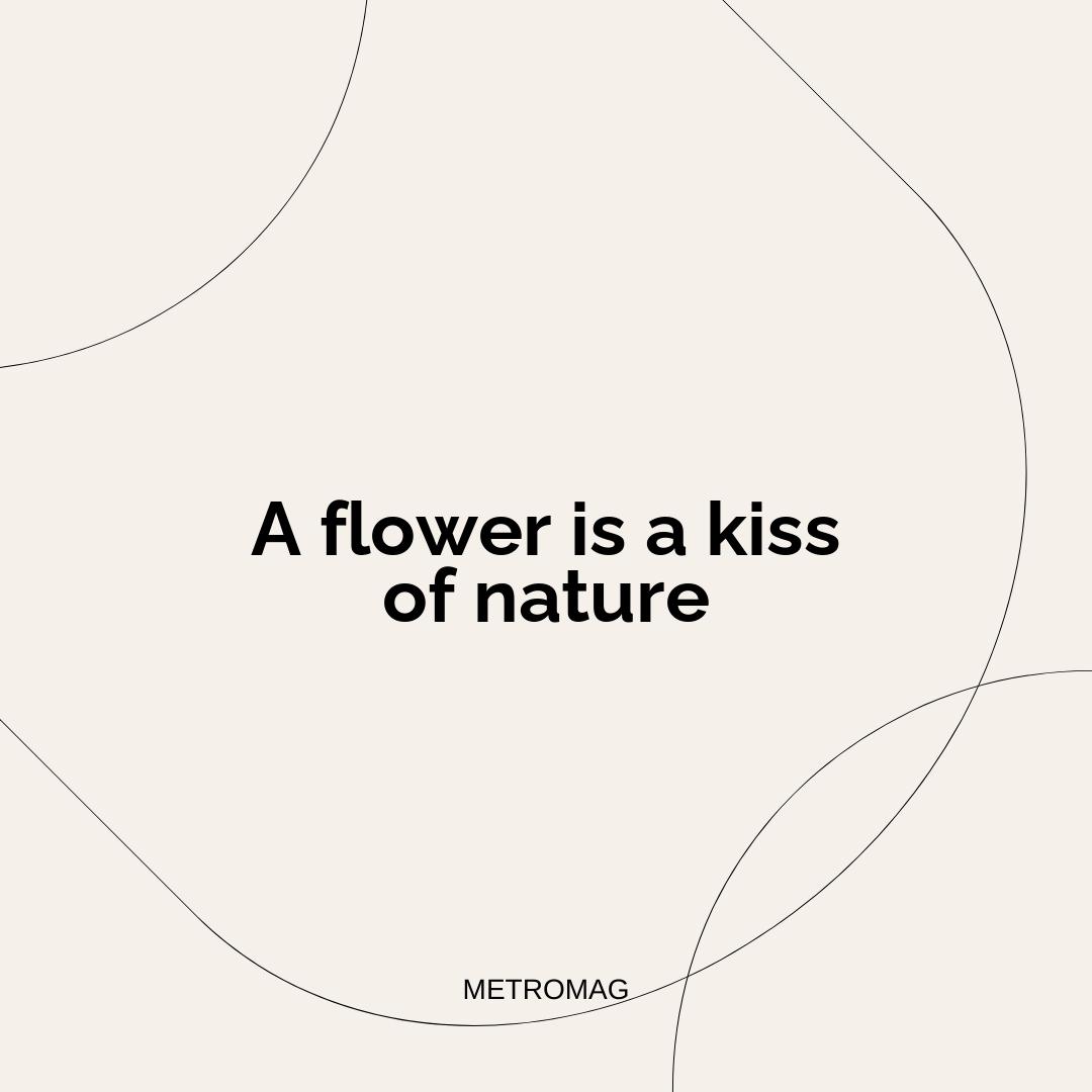 A flower is a kiss of nature