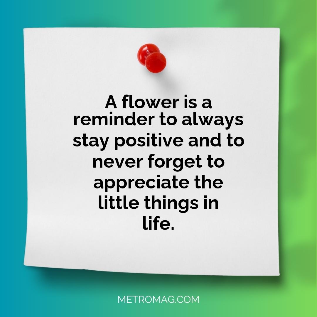 A flower is a reminder to always stay positive and to never forget to appreciate the little things in life.