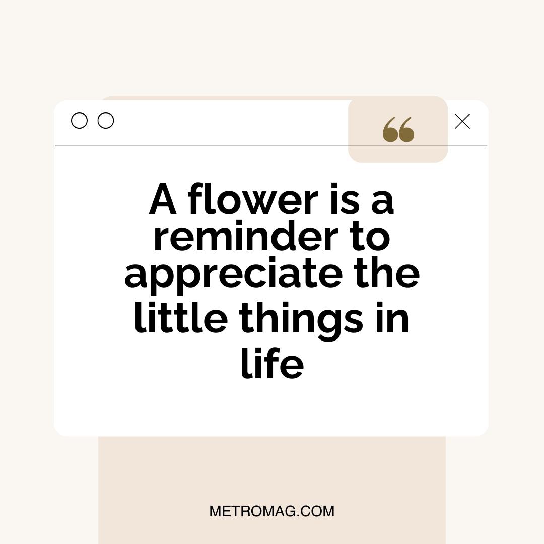 A flower is a reminder to appreciate the little things in life