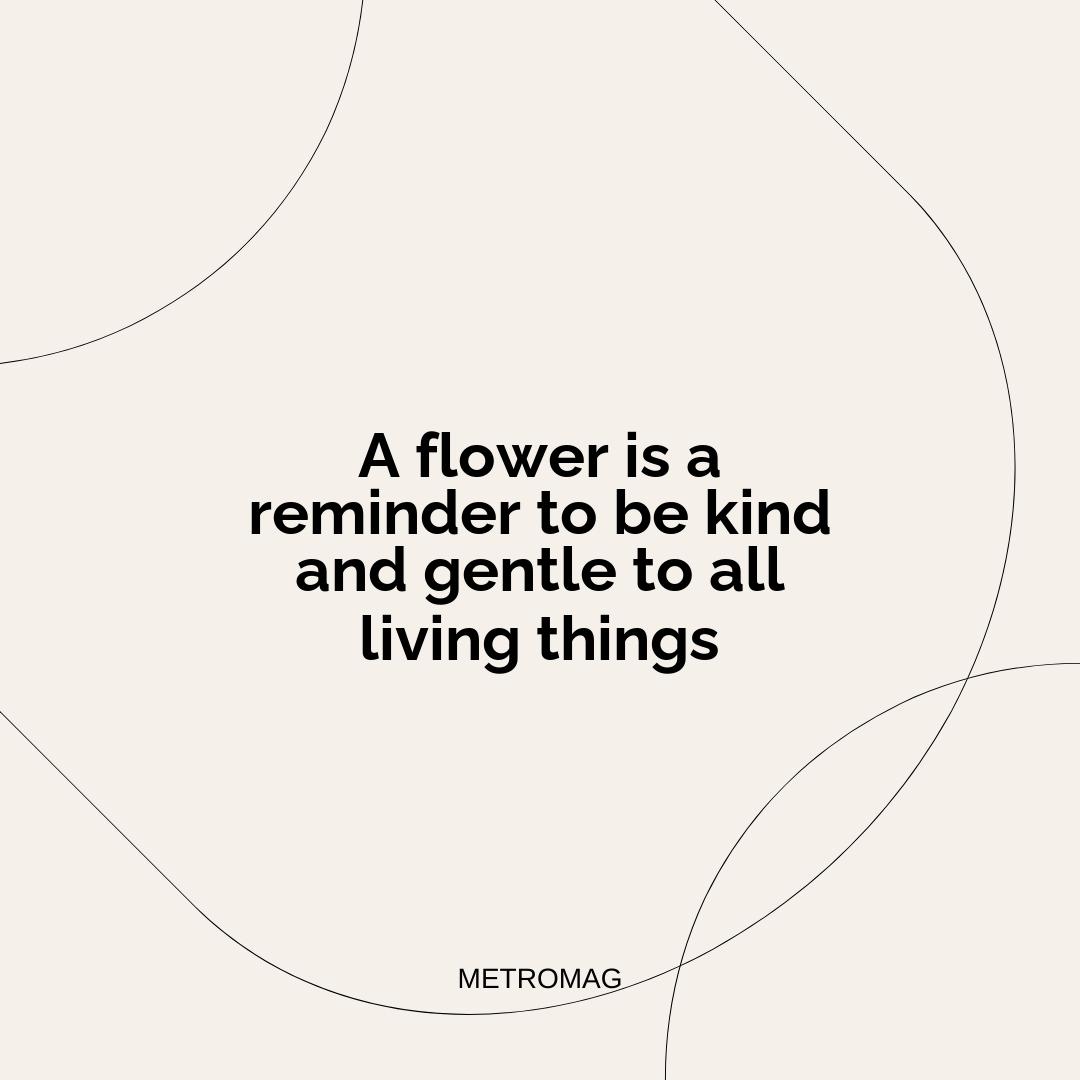 A flower is a reminder to be kind and gentle to all living things