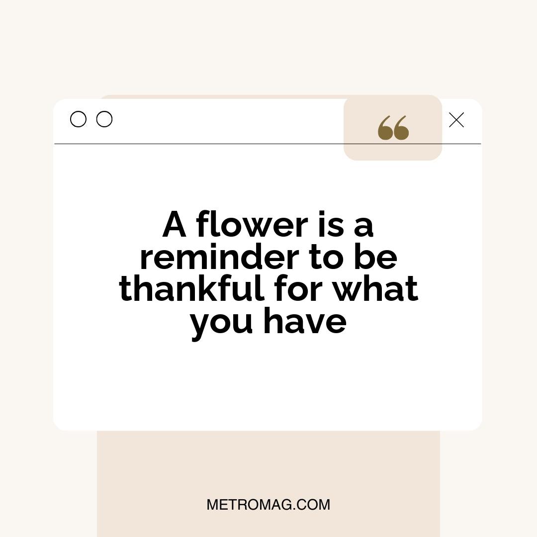 A flower is a reminder to be thankful for what you have