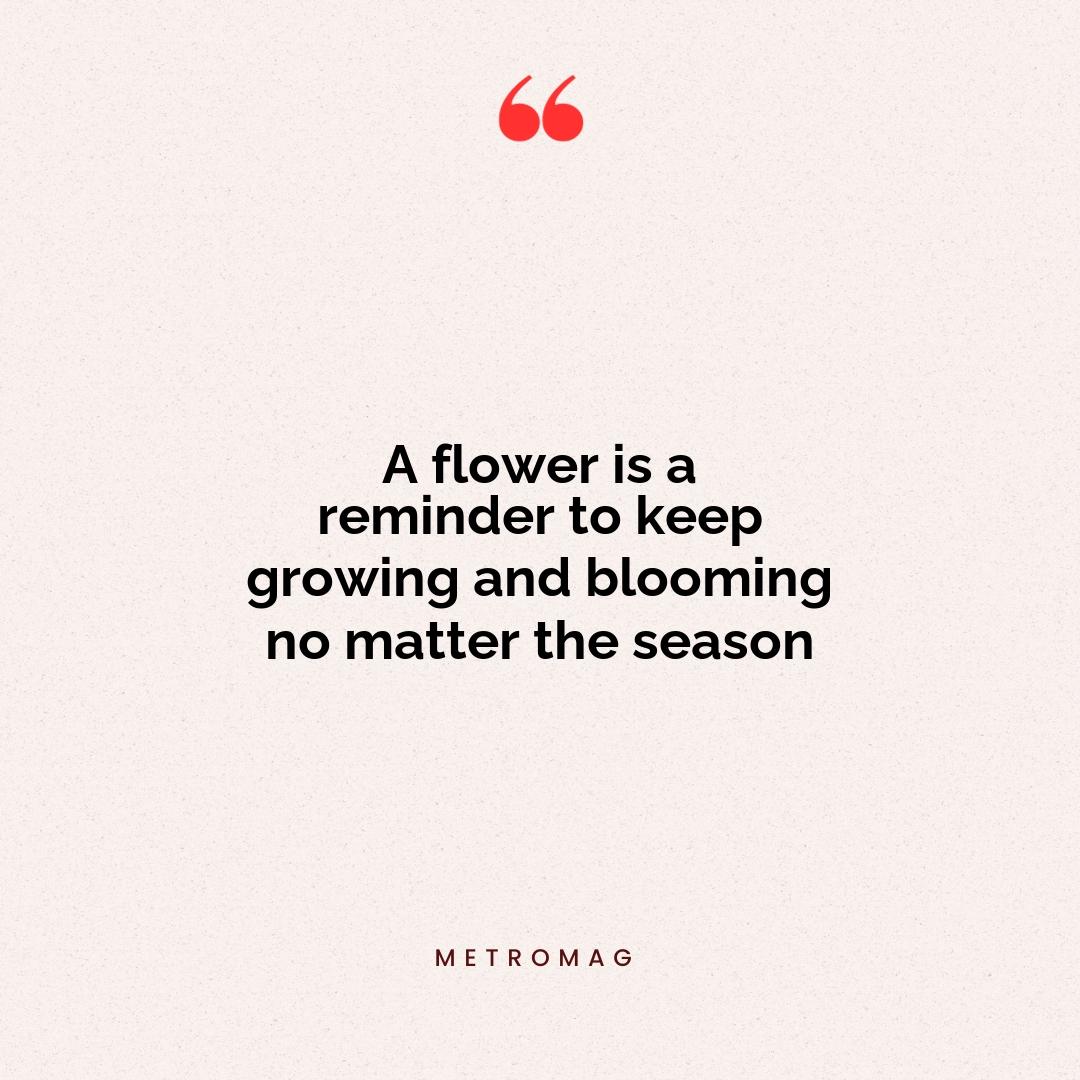 A flower is a reminder to keep growing and blooming no matter the season