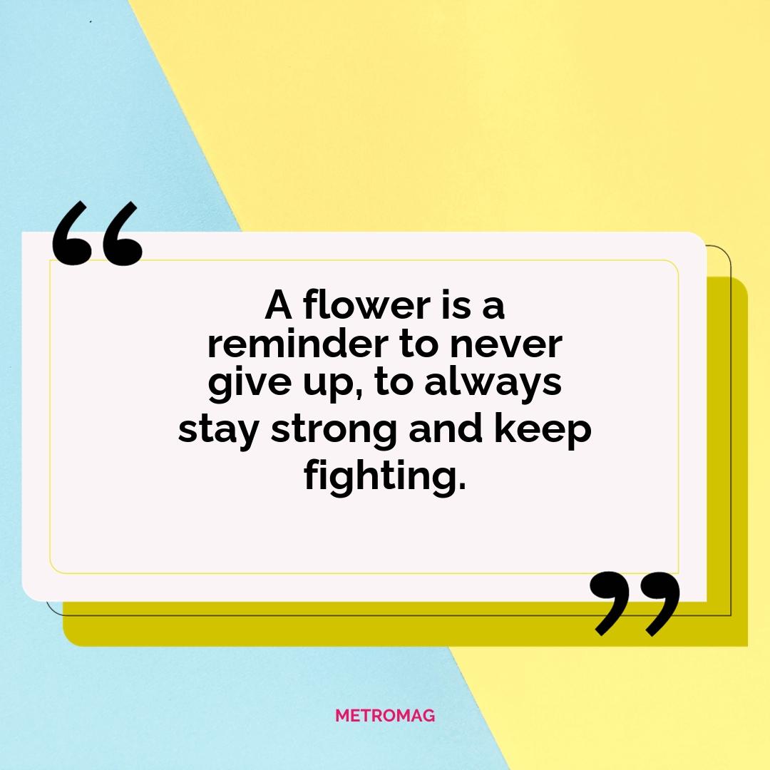 A flower is a reminder to never give up, to always stay strong and keep fighting.