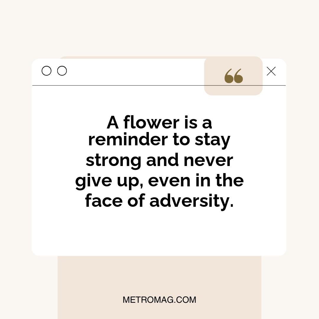 A flower is a reminder to stay strong and never give up, even in the face of adversity.