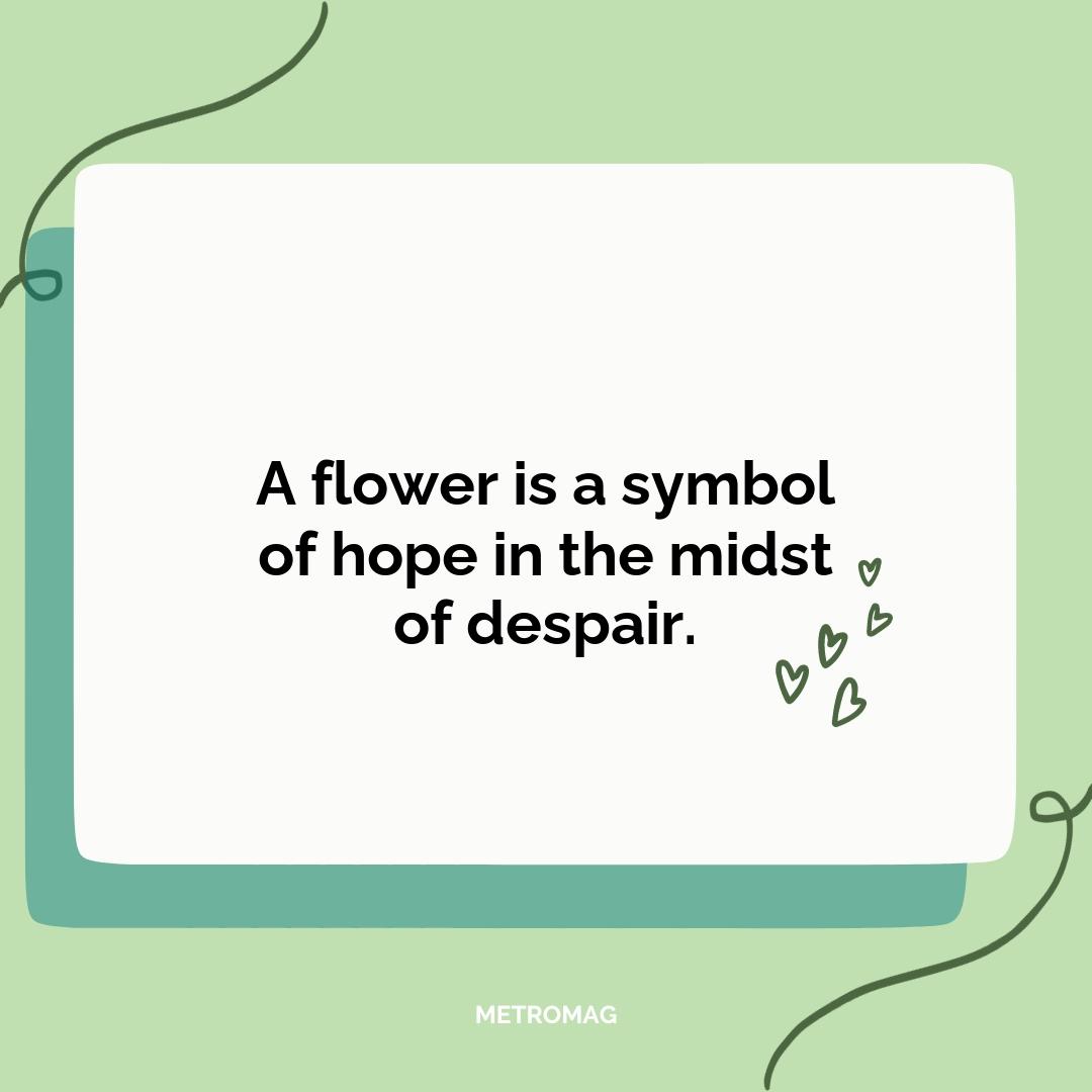 A flower is a symbol of hope in the midst of despair.