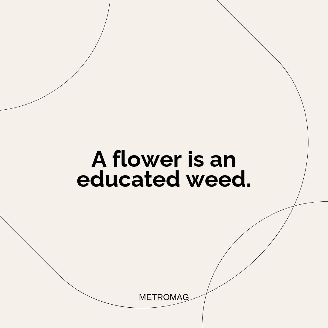A flower is an educated weed.