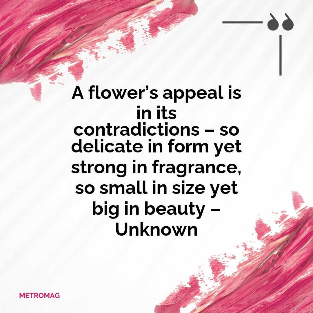 A flower’s appeal is in its contradictions – so delicate in form yet strong in fragrance, so small in size yet big in beauty – Unknown