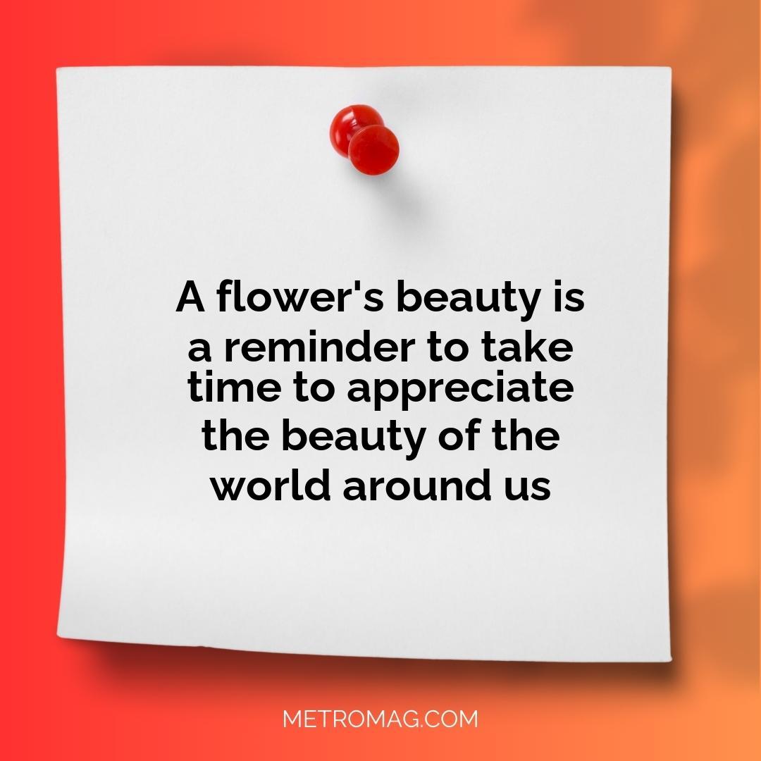 A flower's beauty is a reminder to take time to appreciate the beauty of the world around us