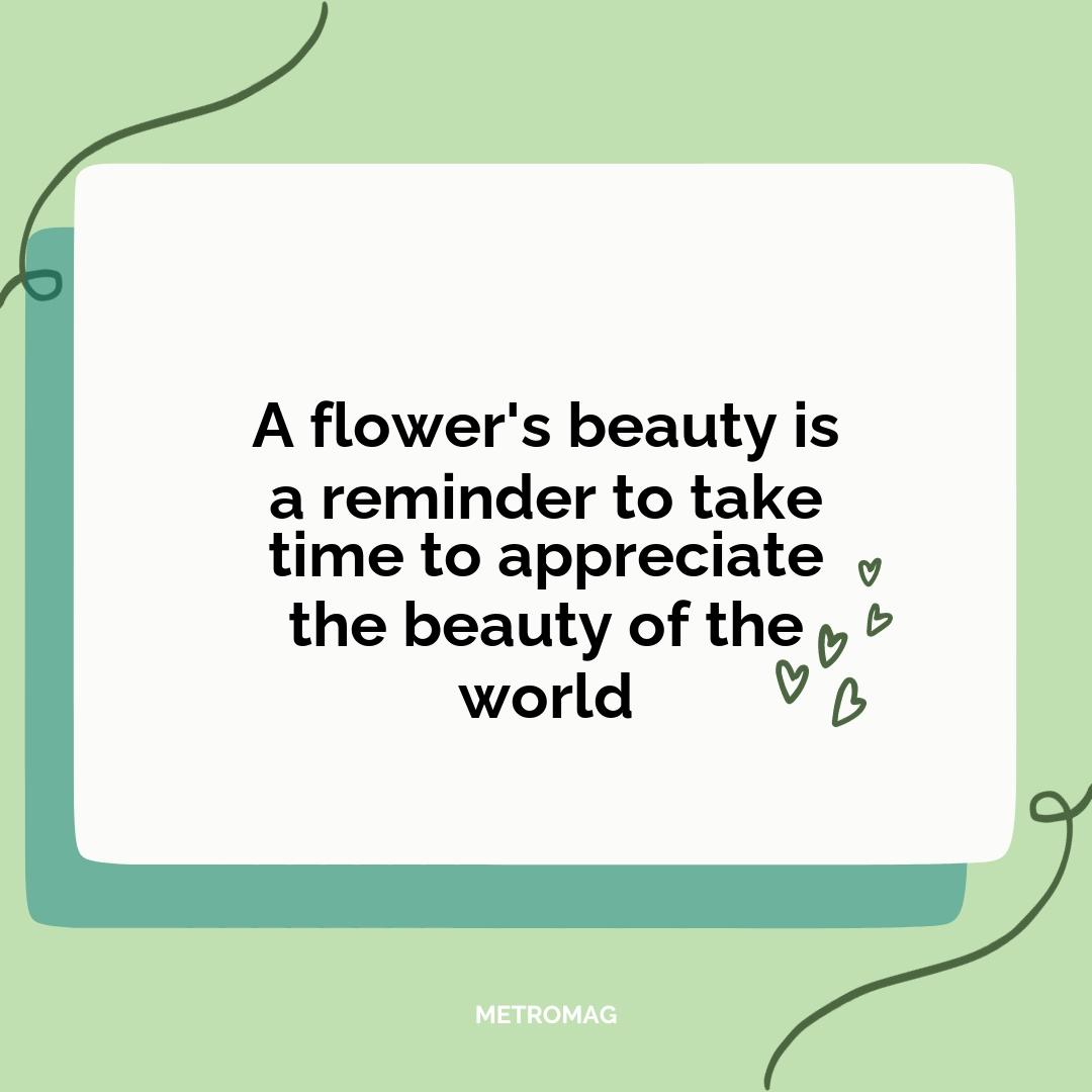 A flower's beauty is a reminder to take time to appreciate the beauty of the world