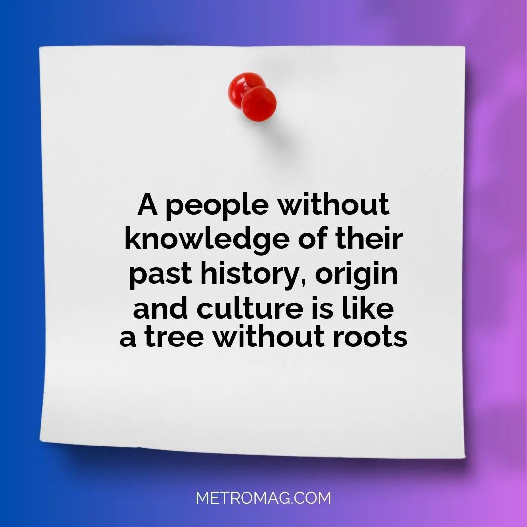 A people without knowledge of their past history, origin and culture is like a tree without roots