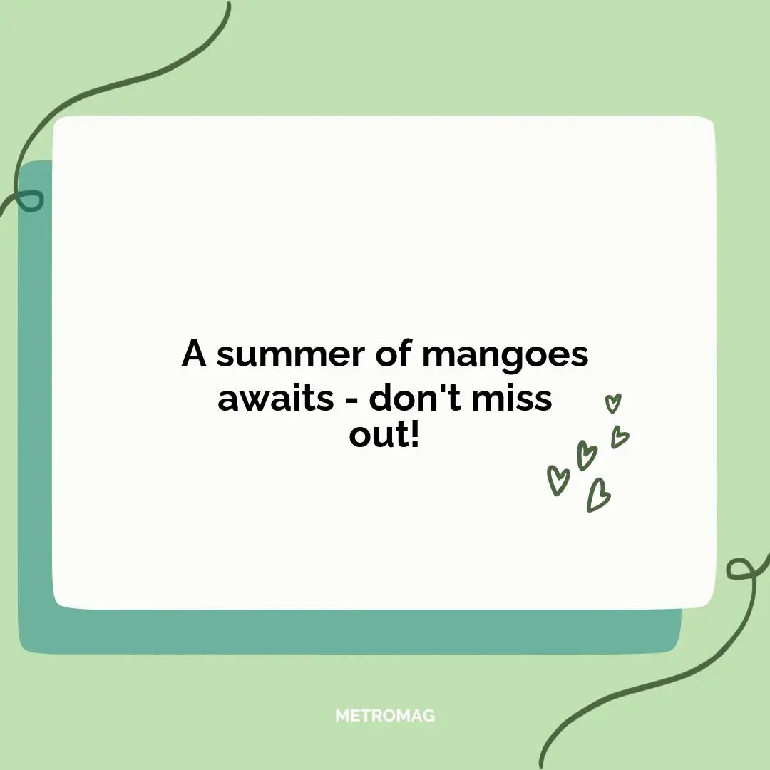 A summer of mangoes awaits - don't miss out!