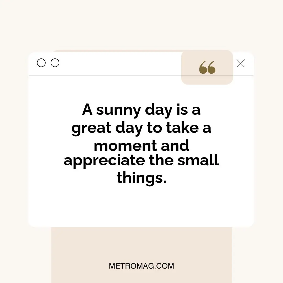 A sunny day is a great day to take a moment and appreciate the small things.
