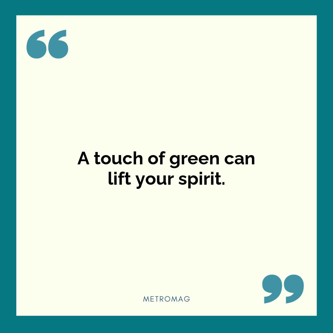 A touch of green can lift your spirit.