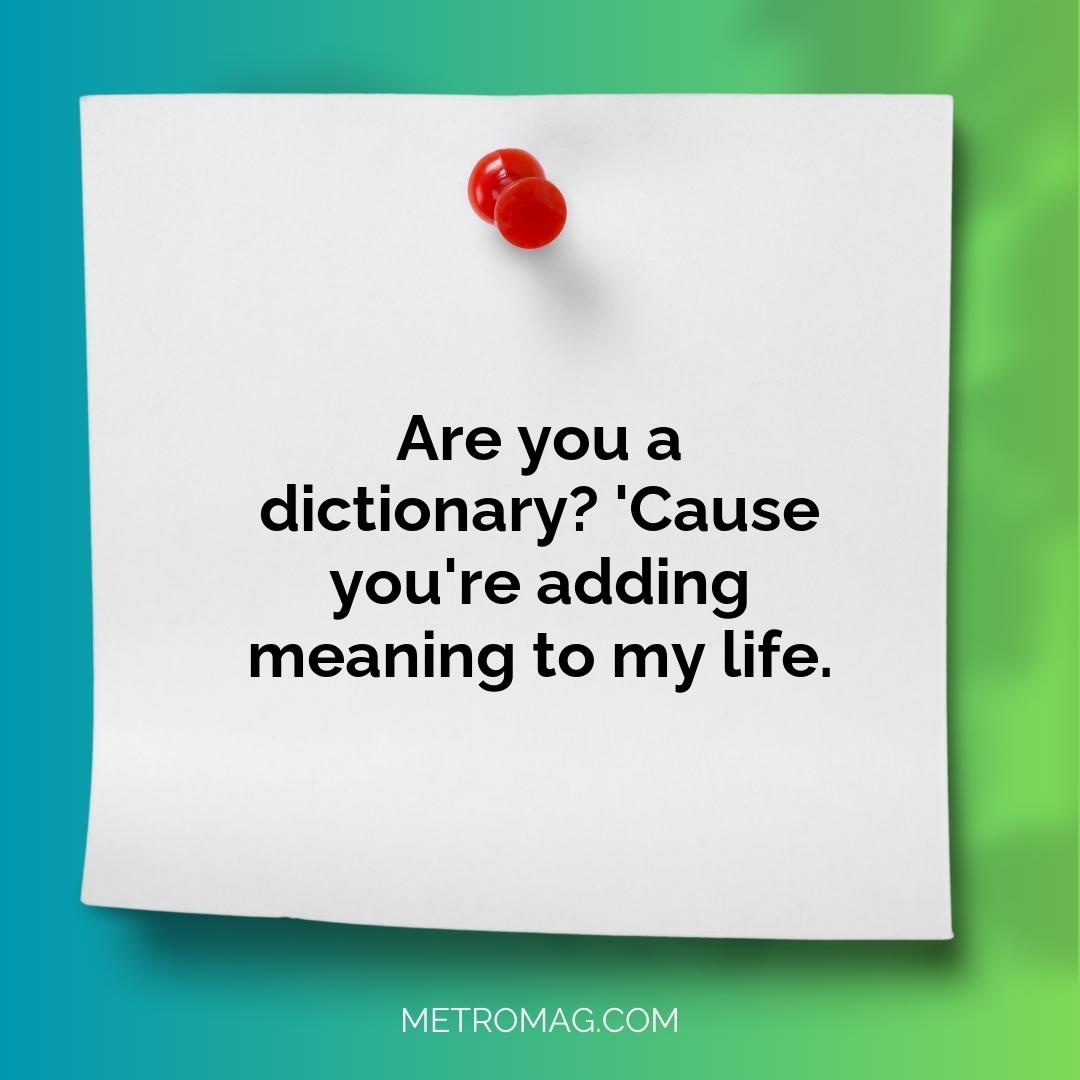 Are you a dictionary? 'Cause you're adding meaning to my life.