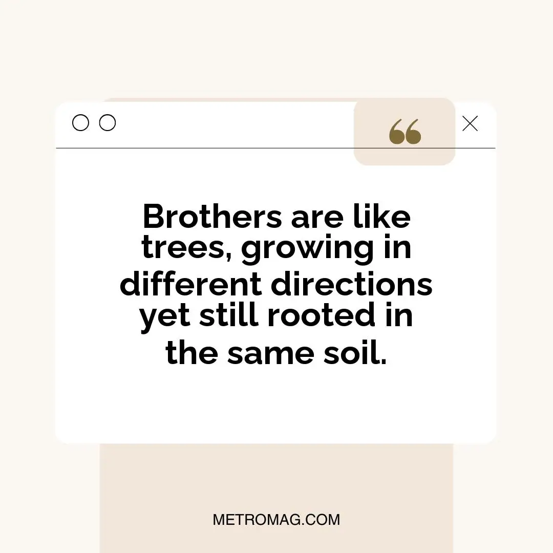 Brothers are like trees, growing in different directions yet still rooted in the same soil.