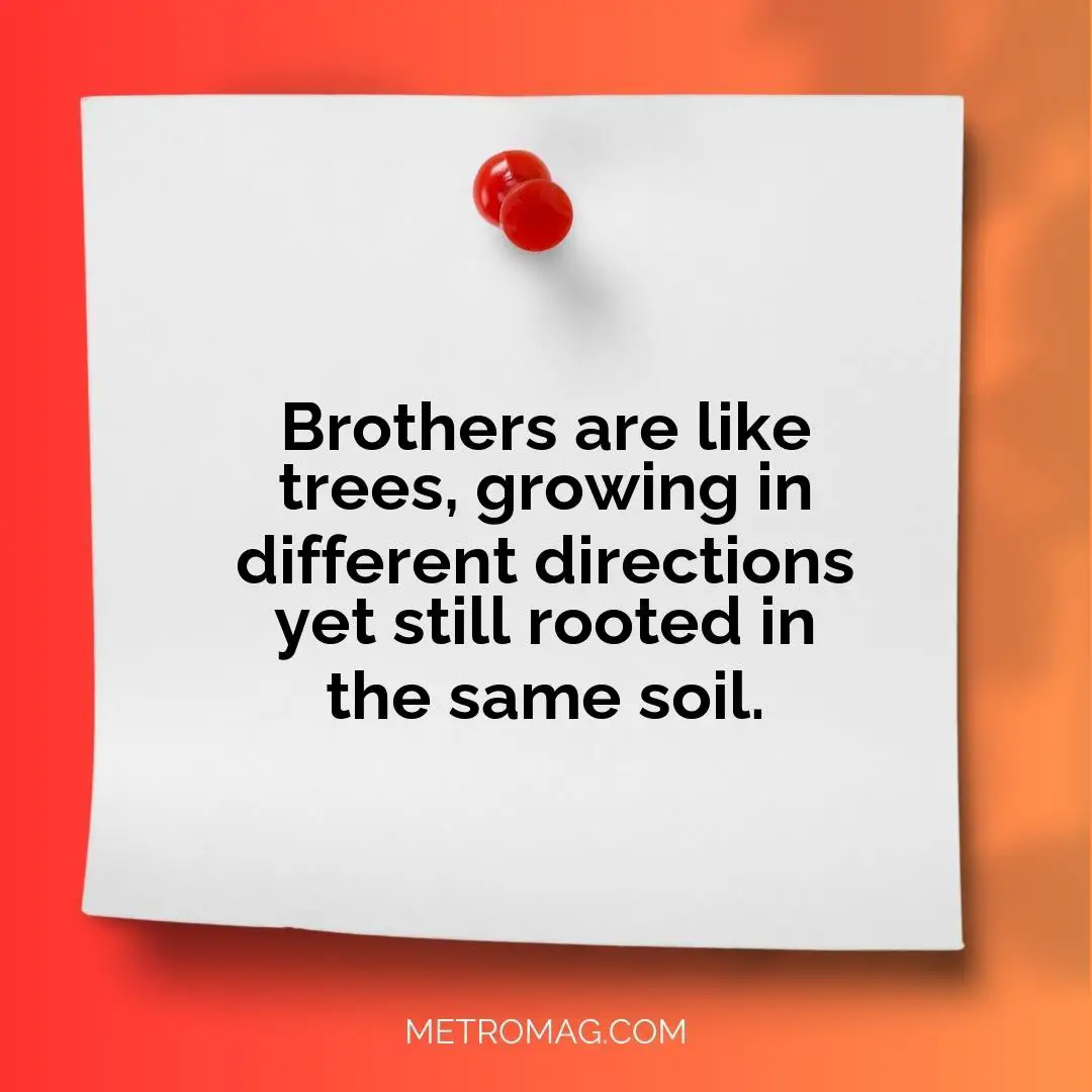 Brothers are like trees, growing in different directions yet still rooted in the same soil.