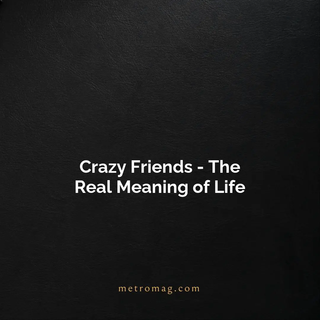 Crazy Friends - The Real Meaning of Life