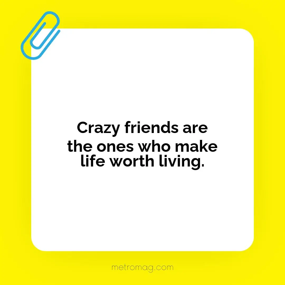 Crazy friends are the ones who make life worth living.