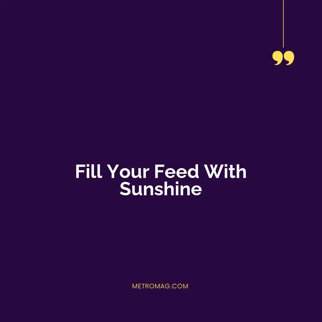 Fill Your Feed With Sunshine