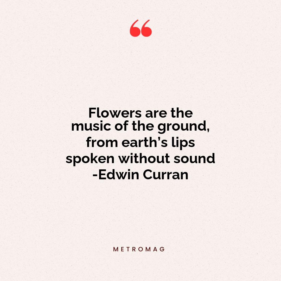 Flowers are the music of the ground, from earth’s lips spoken without sound -Edwin Curran