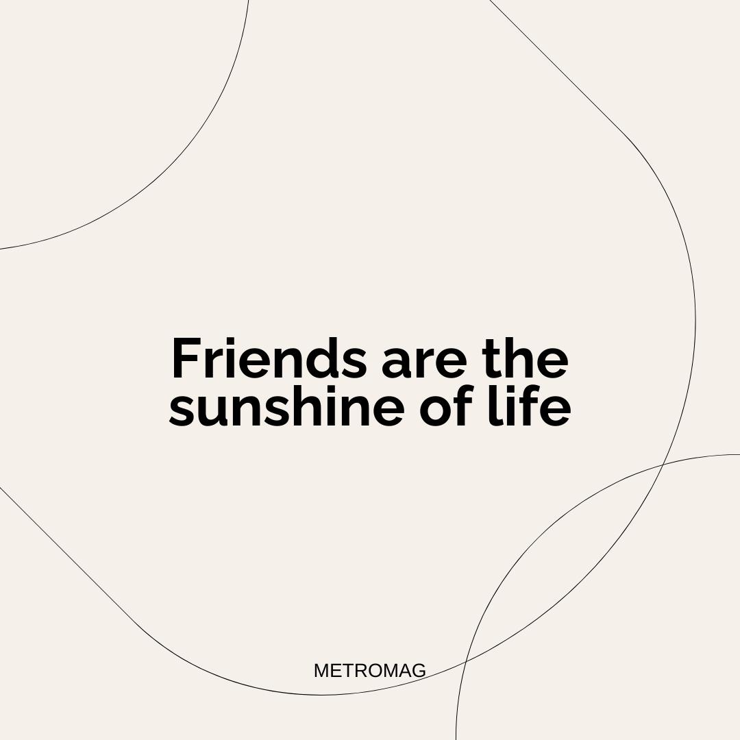 Friends are the sunshine of life