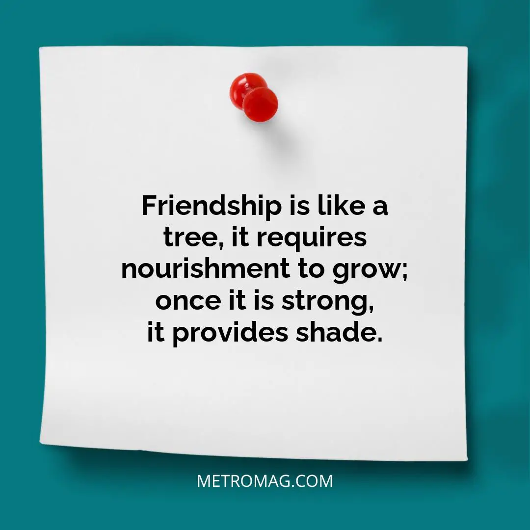Friendship is like a tree, it requires nourishment to grow; once it is strong, it provides shade.