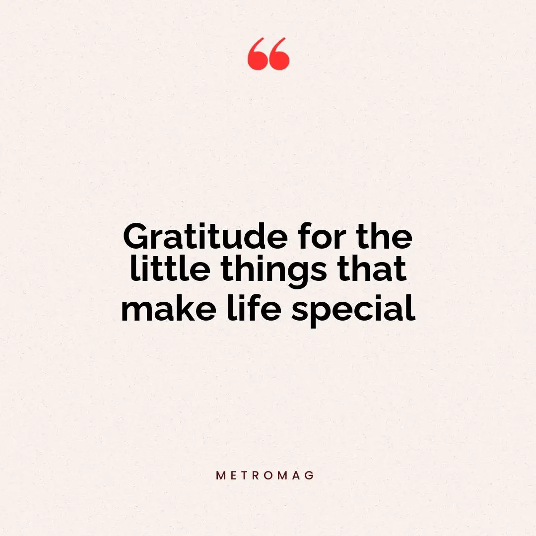 Gratitude for the little things that make life special