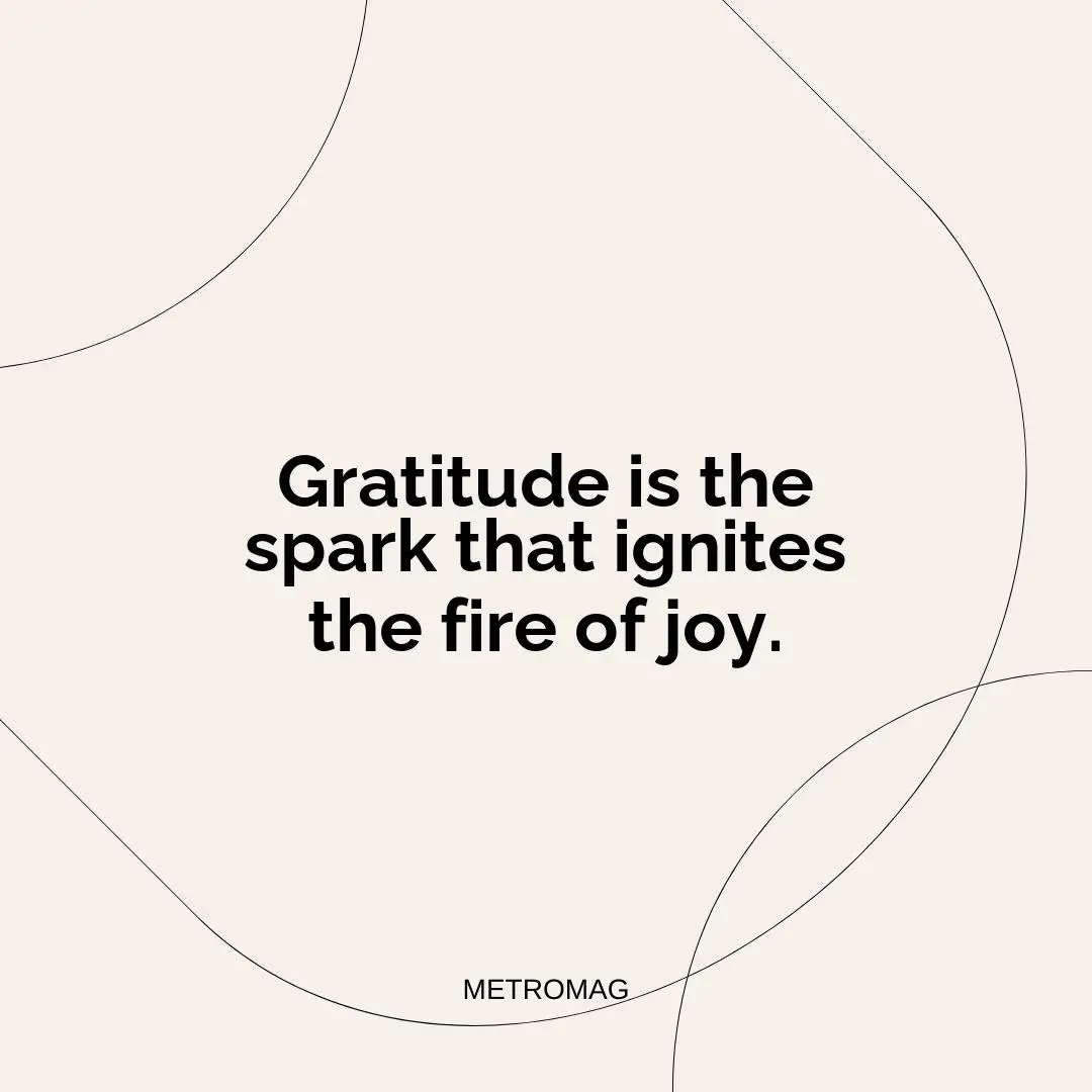 Gratitude is the spark that ignites the fire of joy.