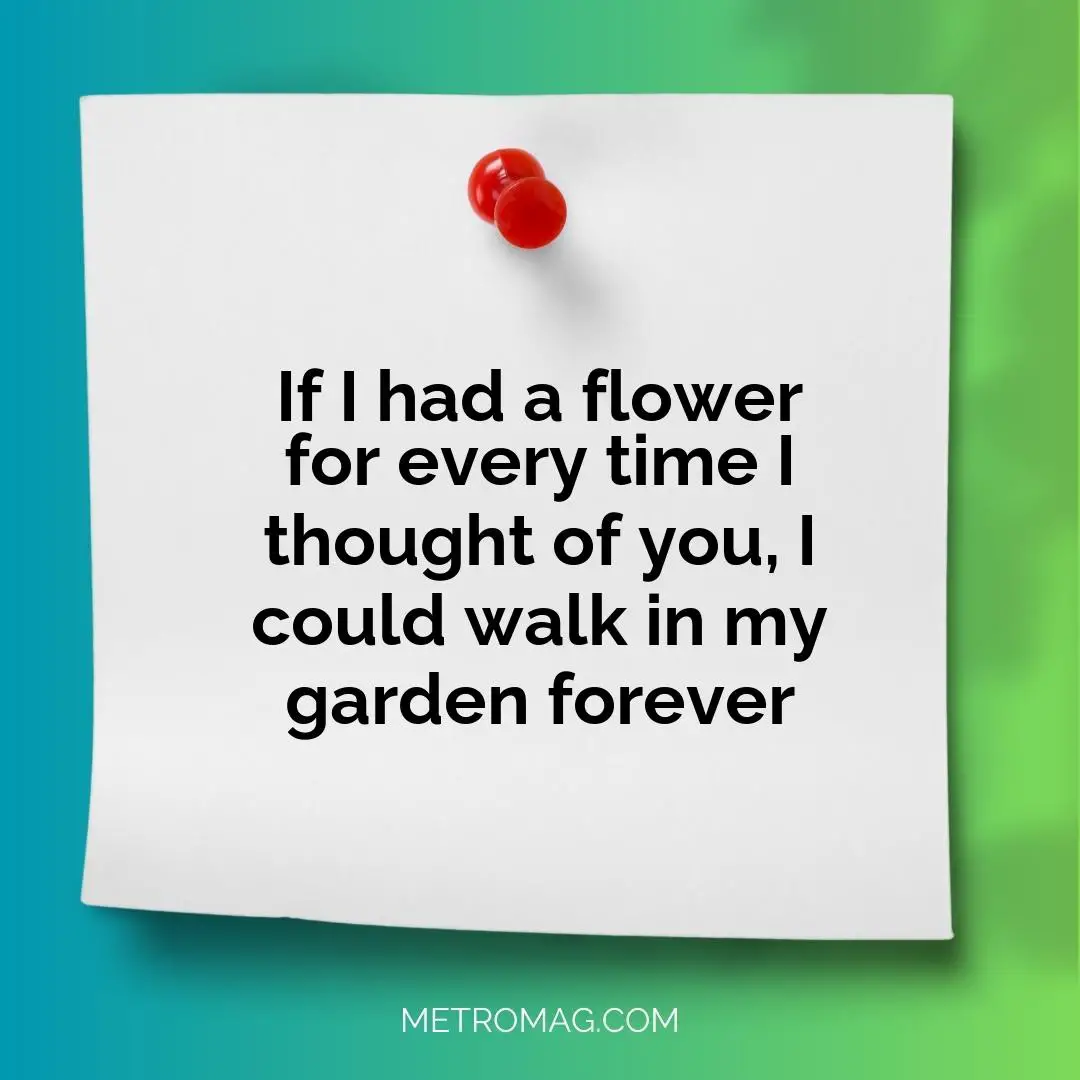 If I had a flower for every time I thought of you, I could walk in my garden forever