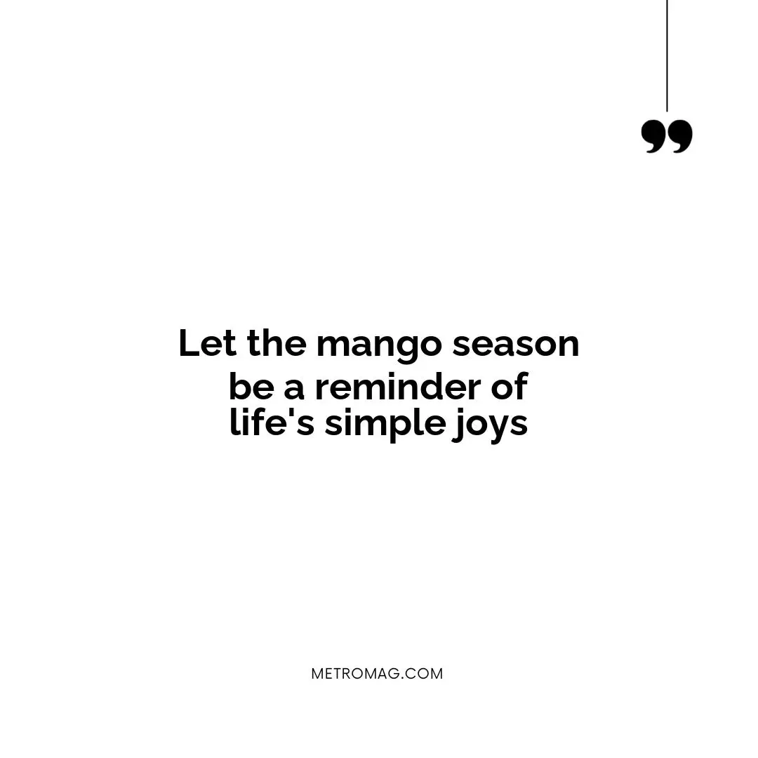 Let the mango season be a reminder of life's simple joys