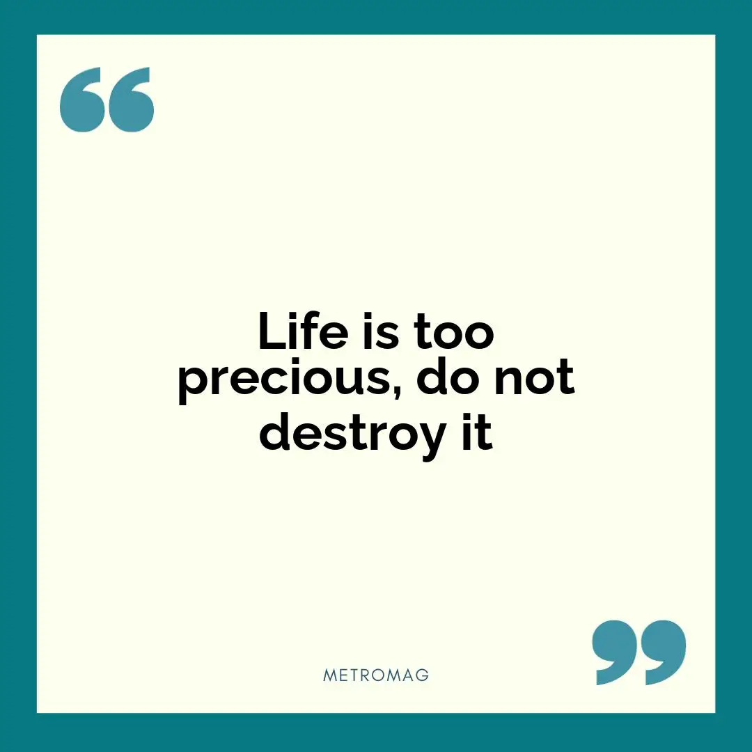 Life is too precious, do not destroy it