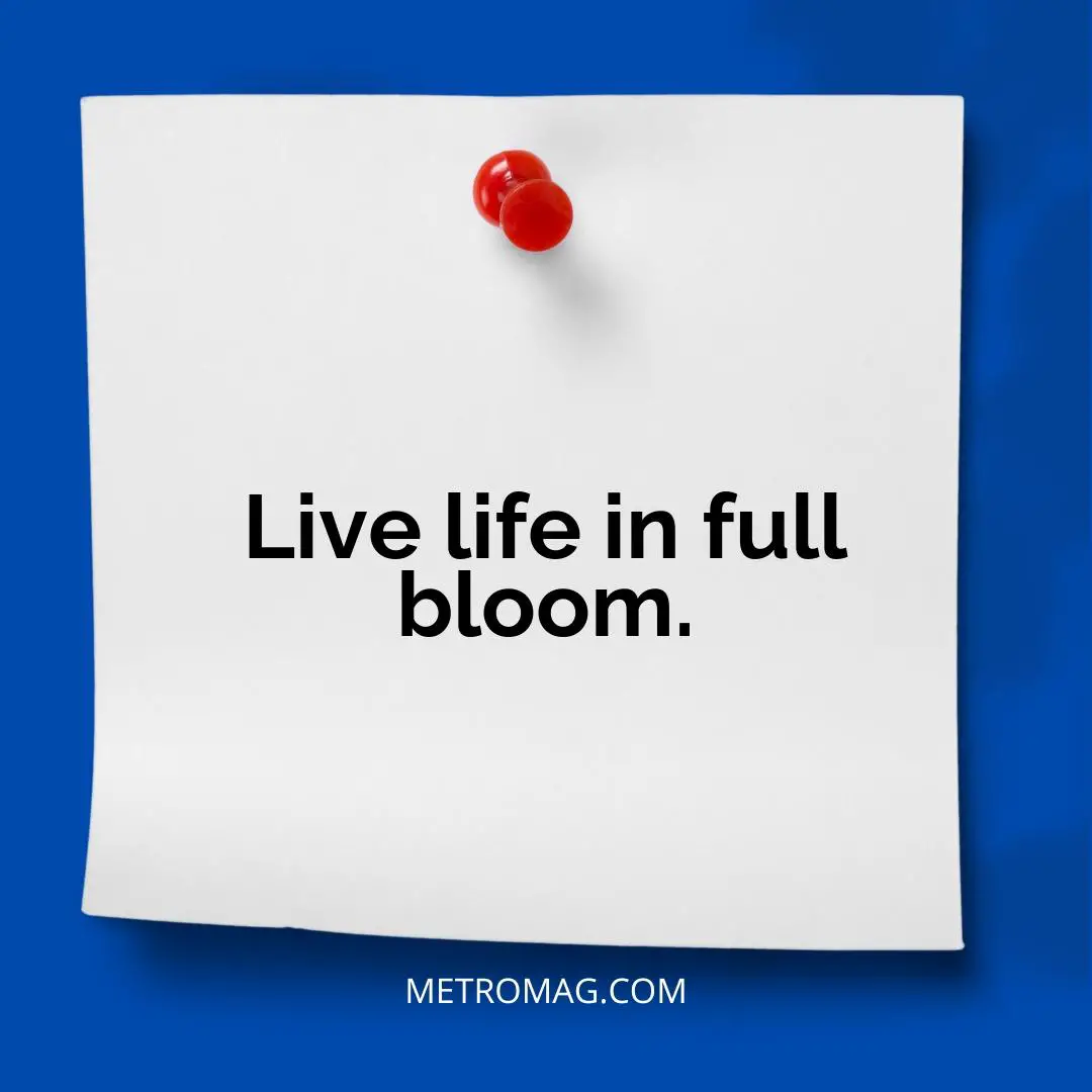 Live life in full bloom.
