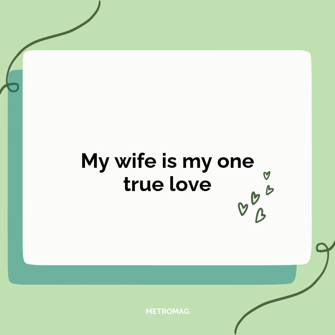 My wife is my one true love