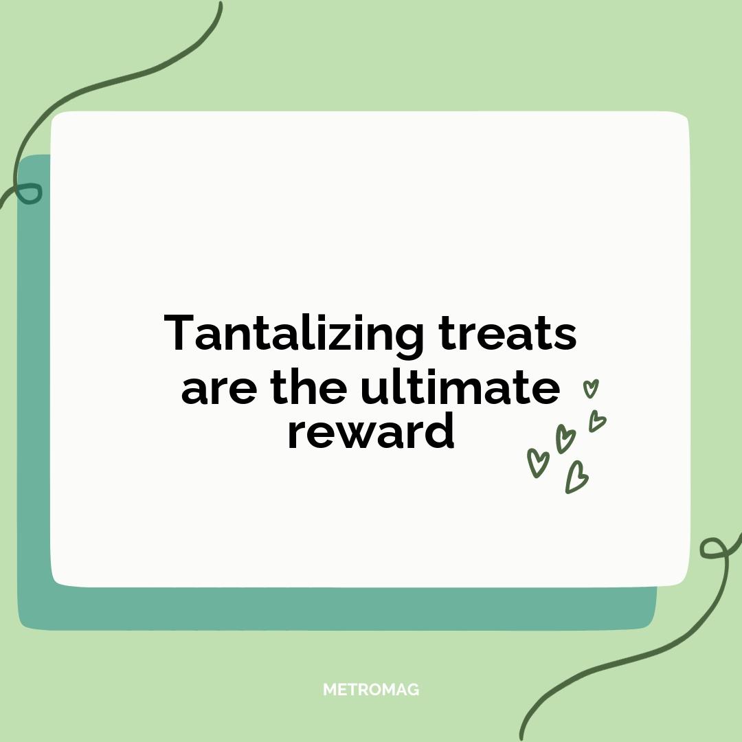 Tantalizing treats are the ultimate reward