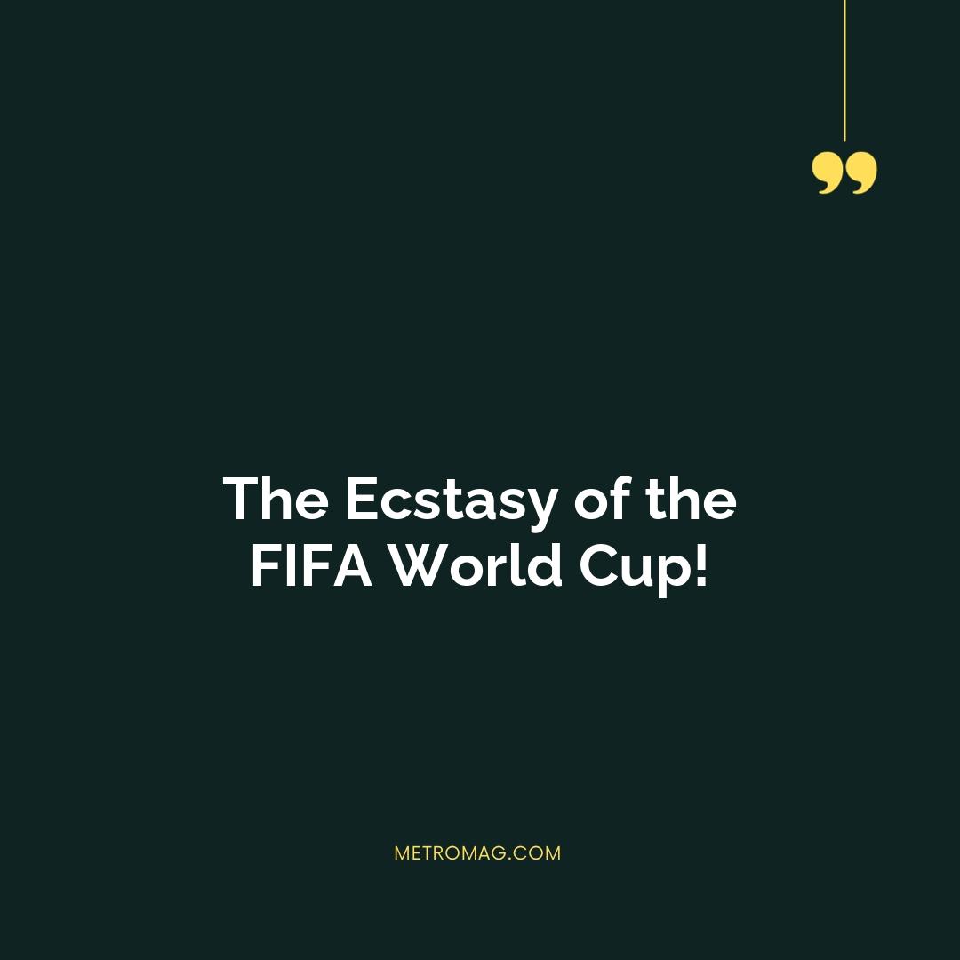 The Ecstasy of the FIFA World Cup!