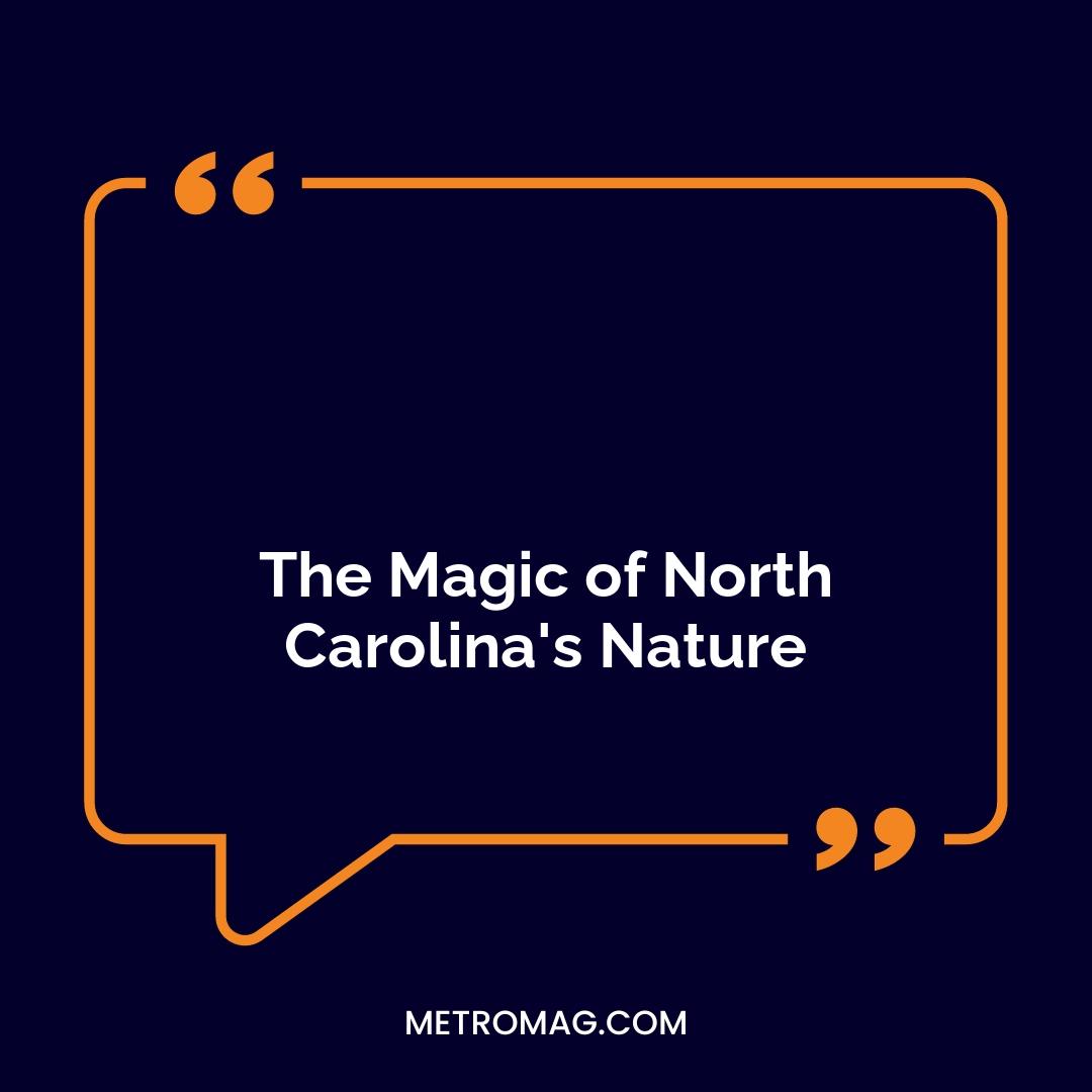 The Magic of North Carolina's Nature
