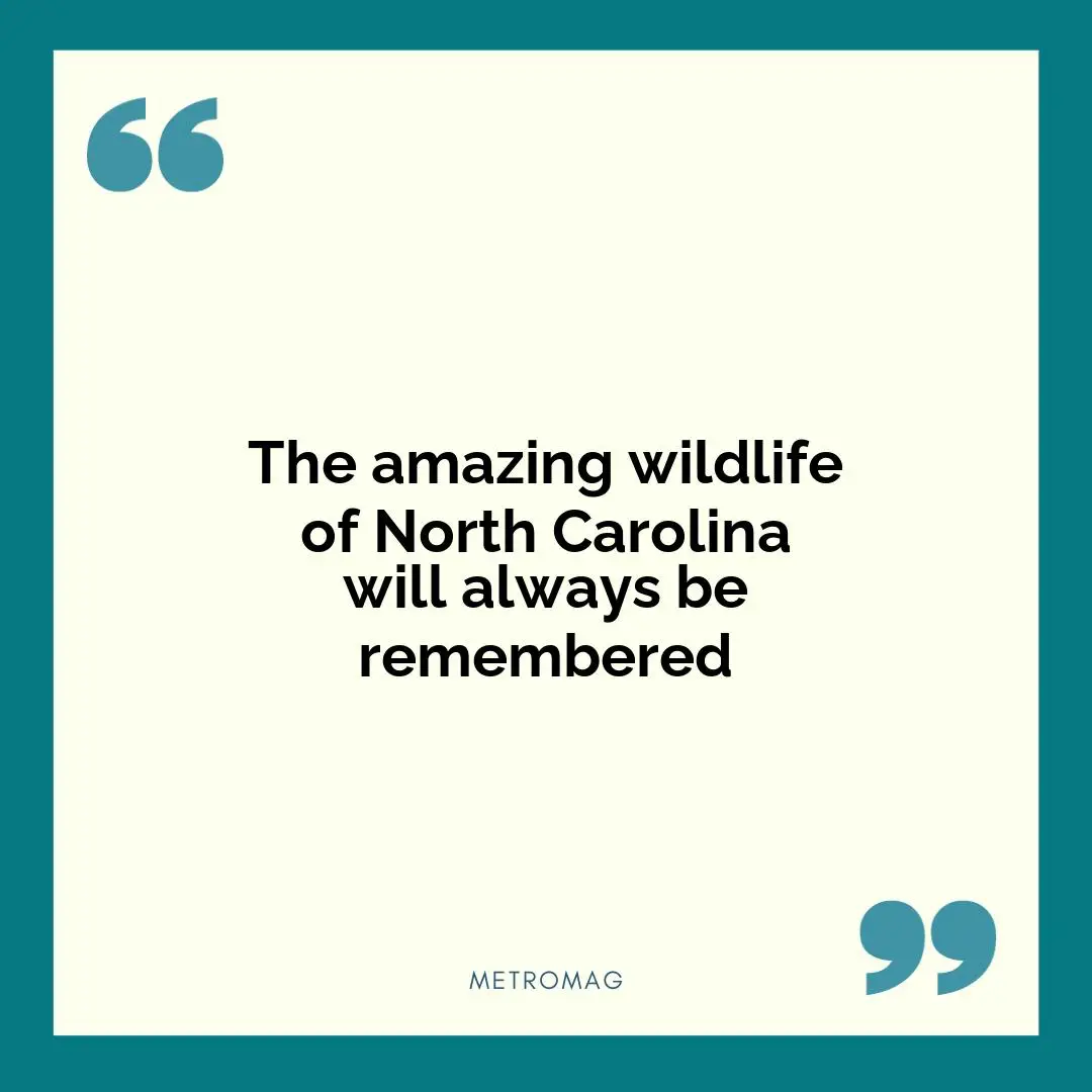 The amazing wildlife of North Carolina will always be remembered