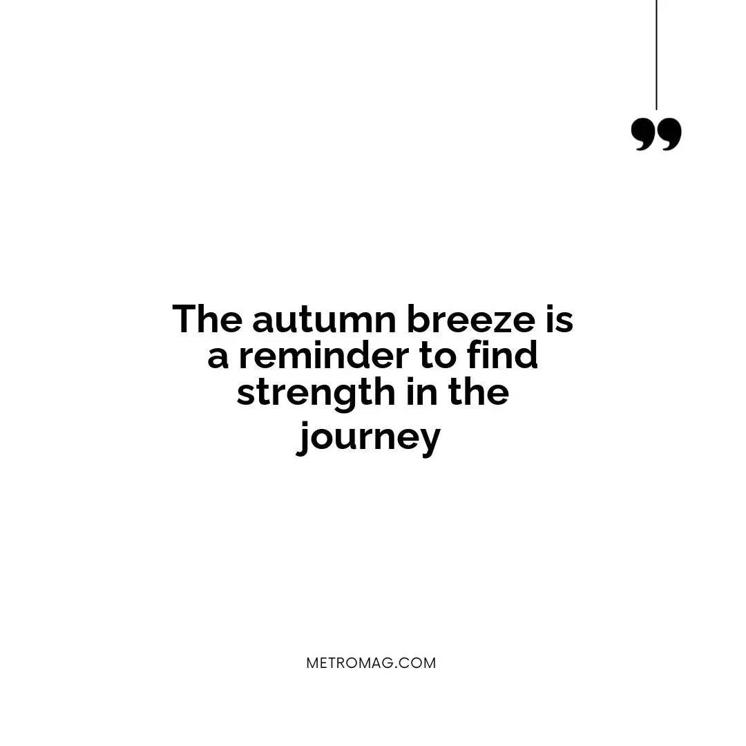 The autumn breeze is a reminder to find strength in the journey