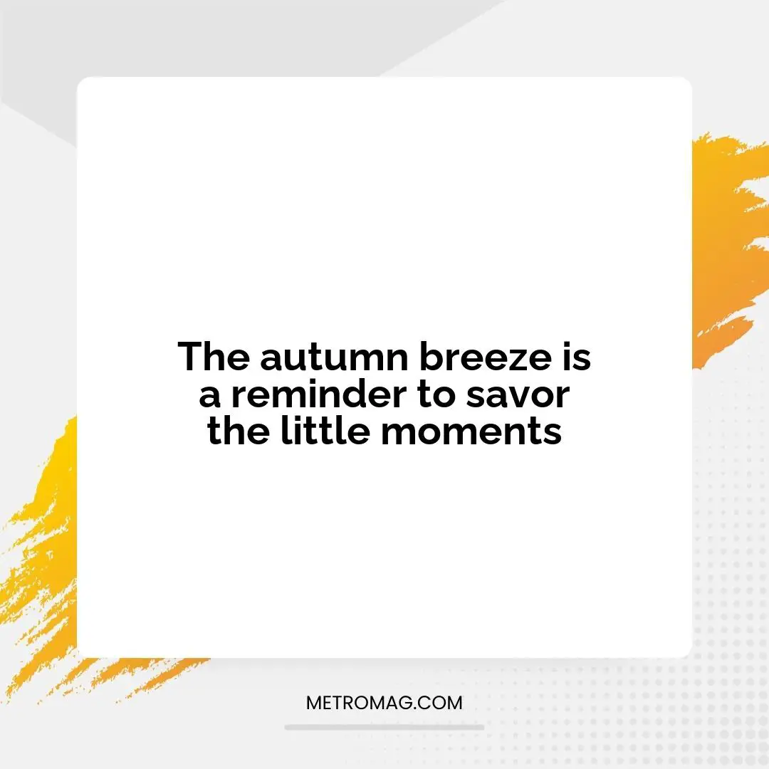 The autumn breeze is a reminder to savor the little moments