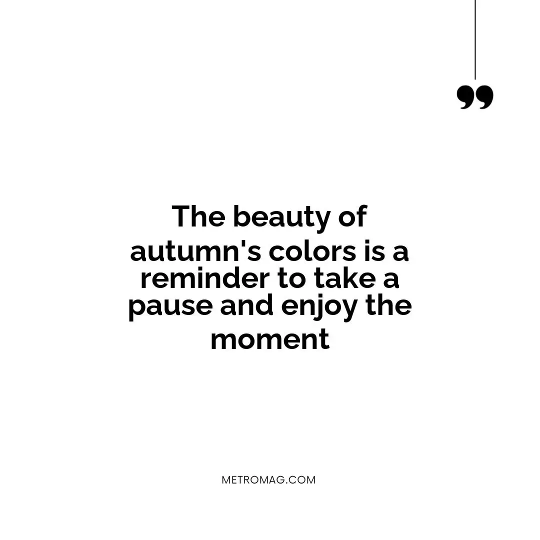 The beauty of autumn's colors is a reminder to take a pause and enjoy the moment