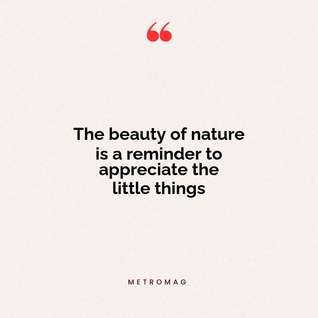 The beauty of nature is a reminder to appreciate the little things