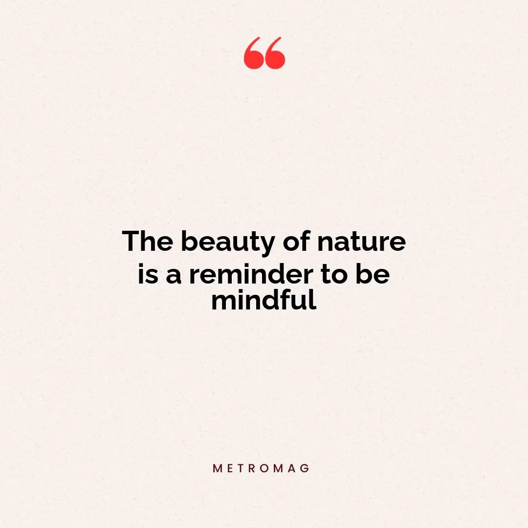 The beauty of nature is a reminder to be mindful