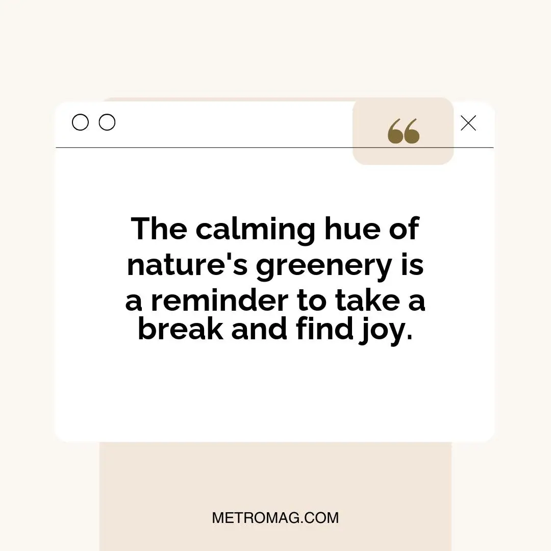 The calming hue of nature's greenery is a reminder to take a break and find joy.