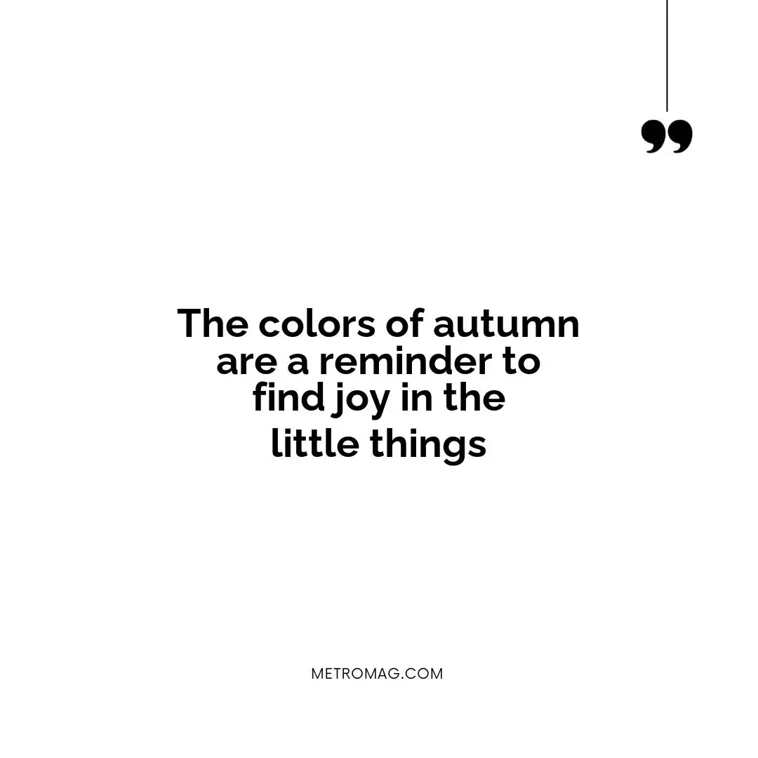 The colors of autumn are a reminder to find joy in the little things