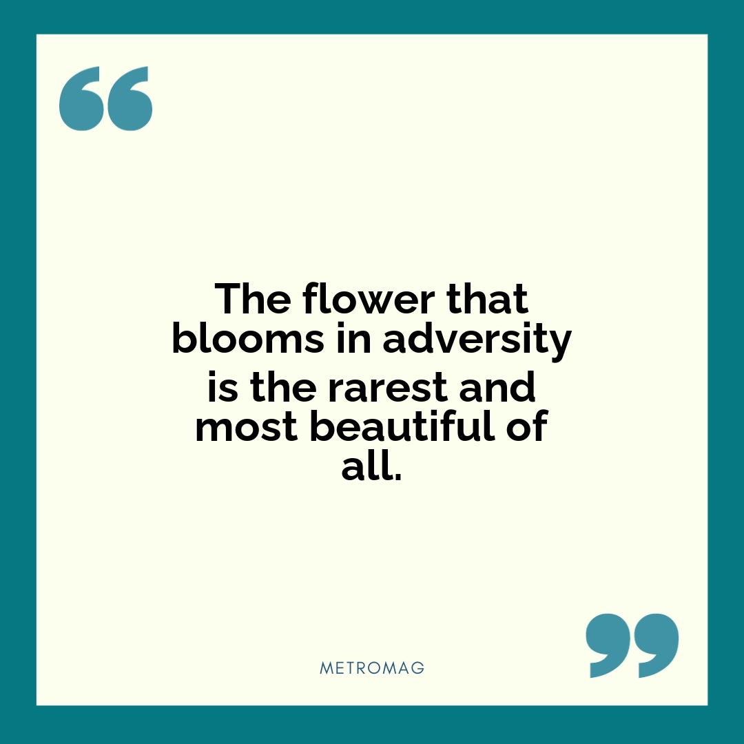 The flower that blooms in adversity is the rarest and most beautiful of all.
