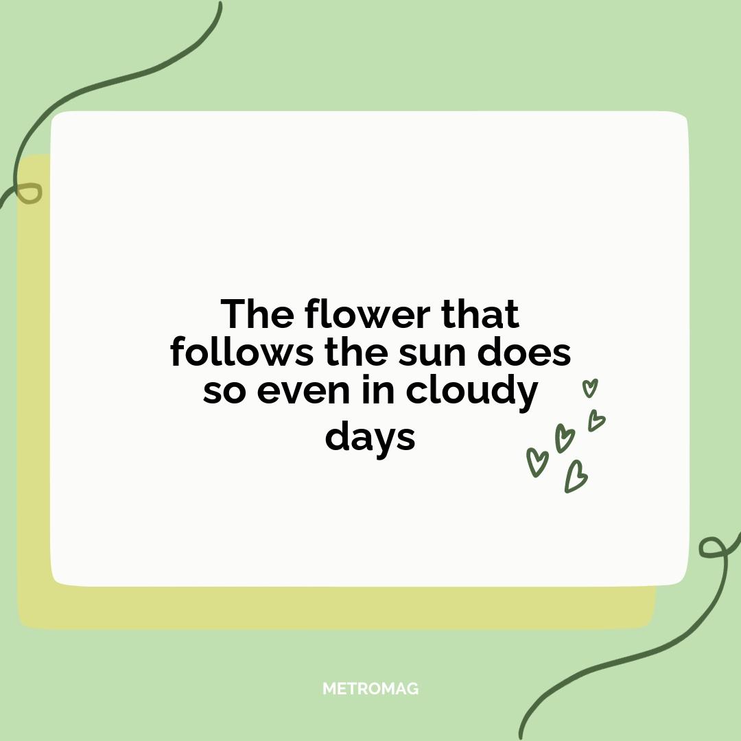 The flower that follows the sun does so even in cloudy days