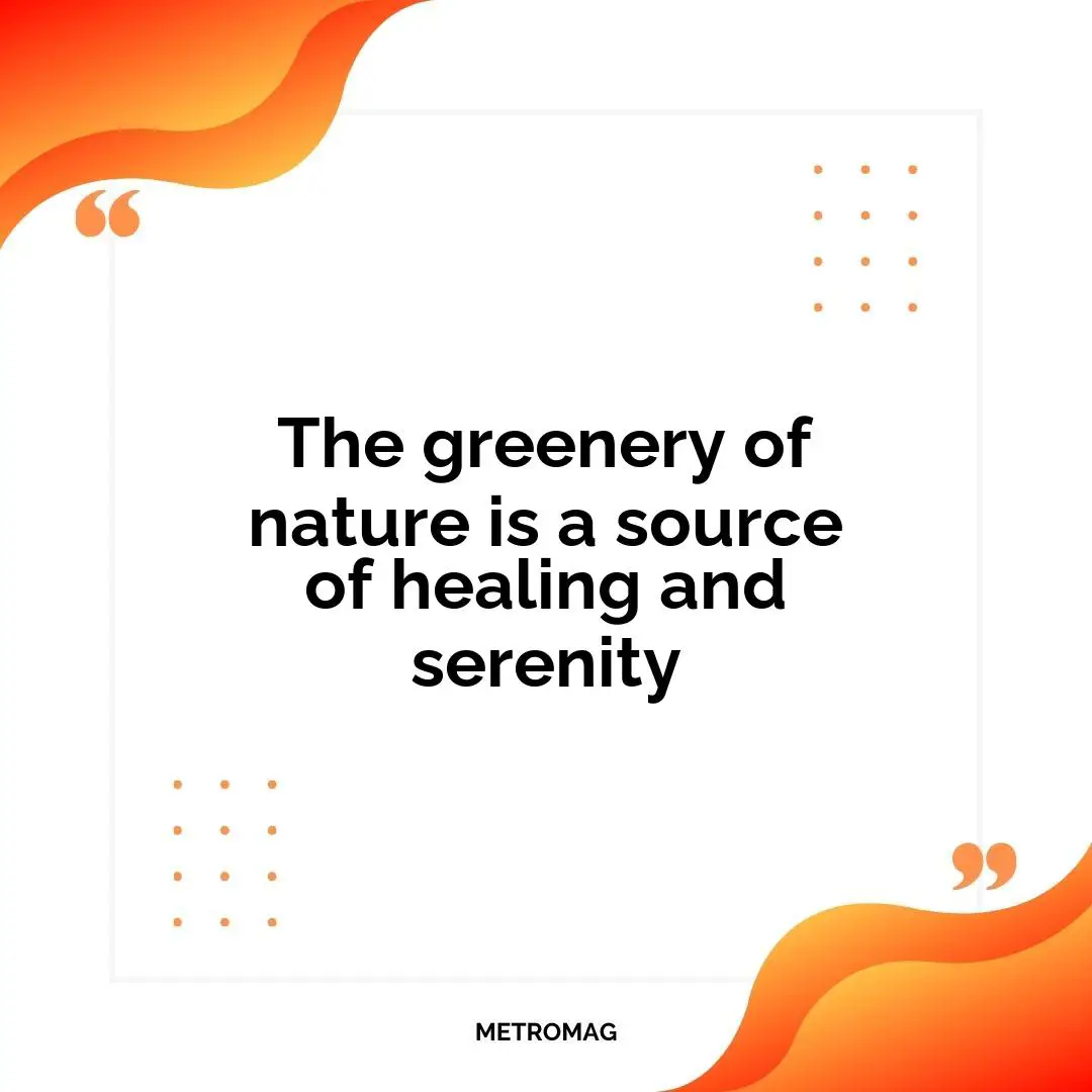 The greenery of nature is a source of healing and serenity