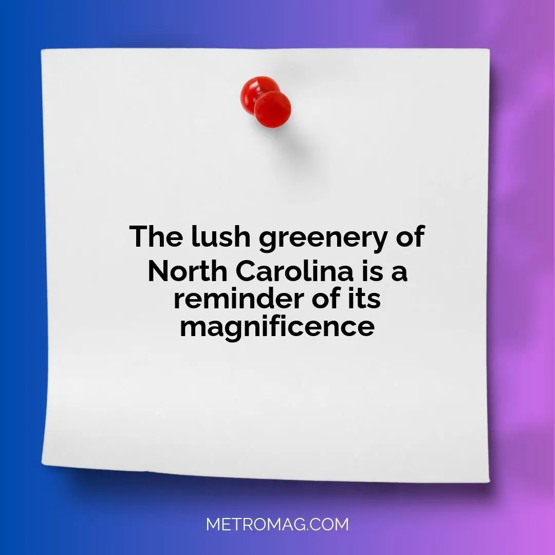 The lush greenery of North Carolina is a reminder of its magnificence